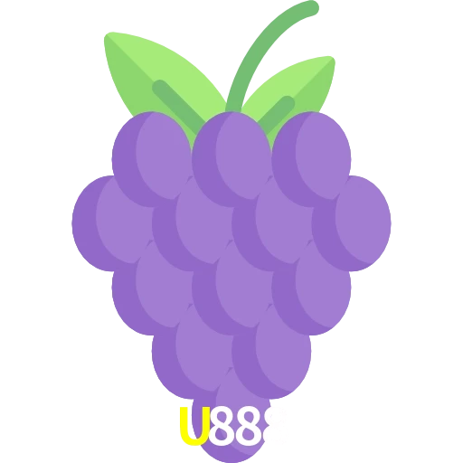 U888